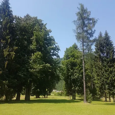 Chalet Krpan Kranjska Gora *